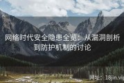 网络时代安全隐患全览：从漏洞剖析到防护机制的讨论