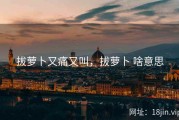 拔萝卜又痛又叫，拔萝卜 啥意思
