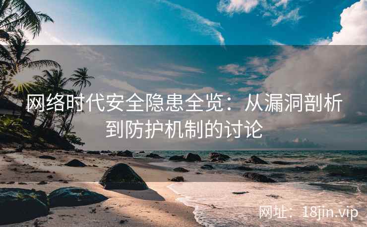 网络时代安全隐患全览：从漏洞剖析到防护机制的讨论