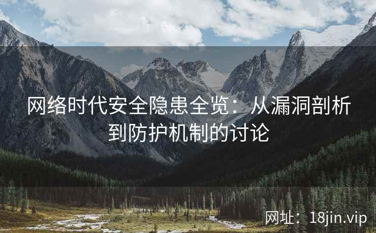 网络时代安全隐患全览：从漏洞剖析到防护机制的讨论