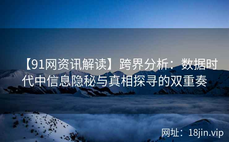 【91网资讯解读】跨界分析：数据时代中信息隐秘与真相探寻的双重奏