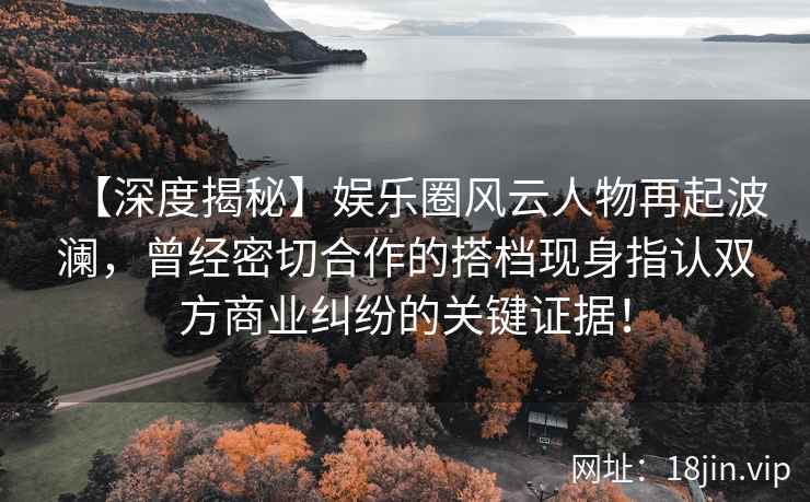【深度揭秘】娱乐圈风云人物再起波澜，曾经密切合作的搭档现身指认双方商业纠纷的关键证据！